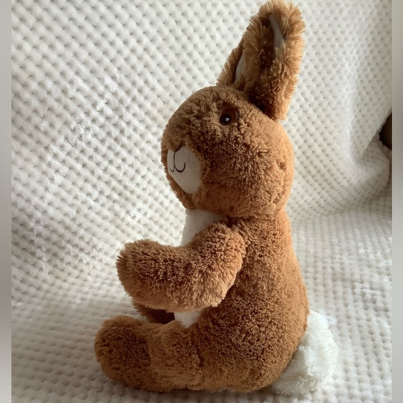 Peter Rabbit Beatrix Potter Plush Bunny Rabbit Stuffed Animal Embroidered Eyes - Picture 2 of 13